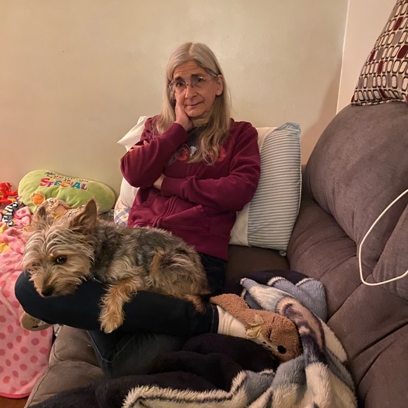 Meet your Posher, Victoria - Picture 2 of 2